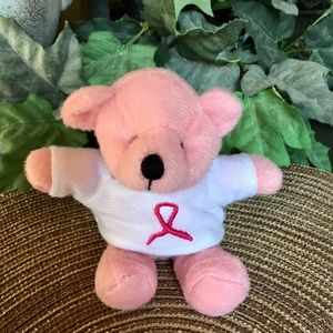 Small Breast Cancer Awareness Pink Teddy Bear